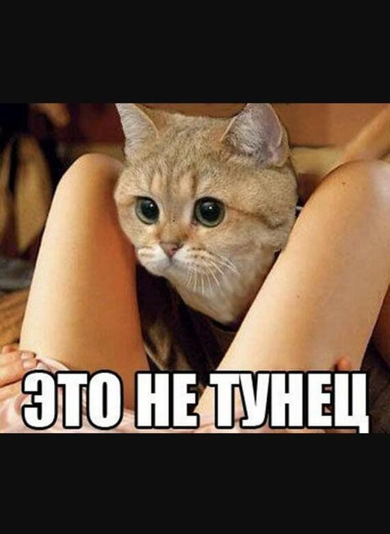 Как за три часа испортить арбуз