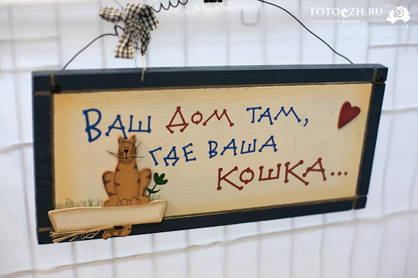 Котиковая выставка "Инфокот 2013"
