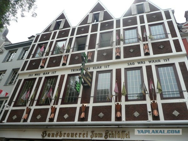 20 лучших мировых сортов пива.