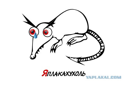 Классификация выхухолей