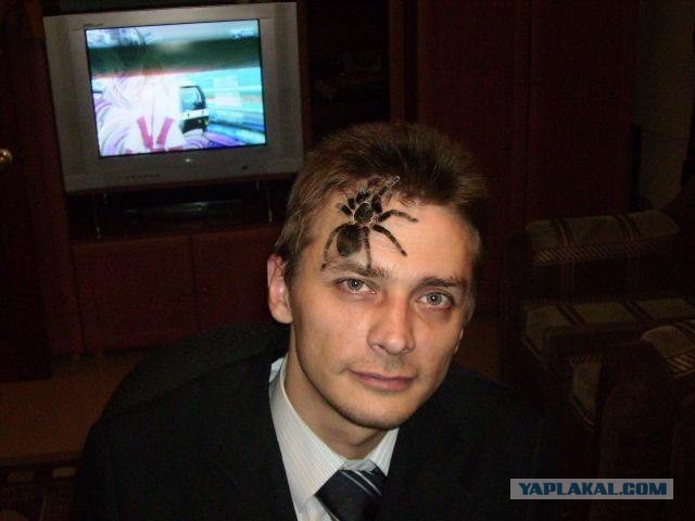 В продолжении темы про "Последствия укуса паука"