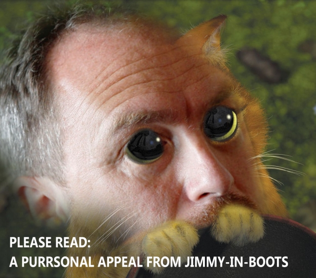 Основатель Википедии Уэйлс везде просит денег!