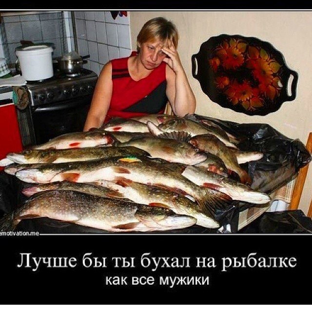 Картинки из этих ваших интернетов