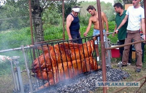 Пятничная подборка