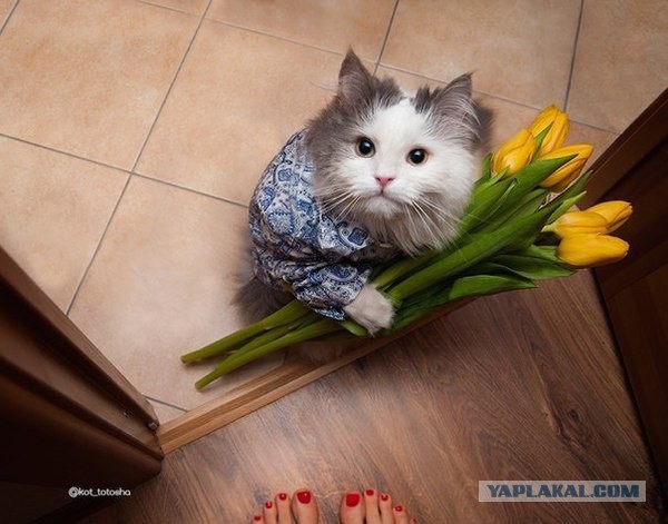 чо мне так грусно и хочеца взамуш