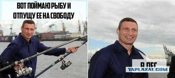 Проделки Брюса