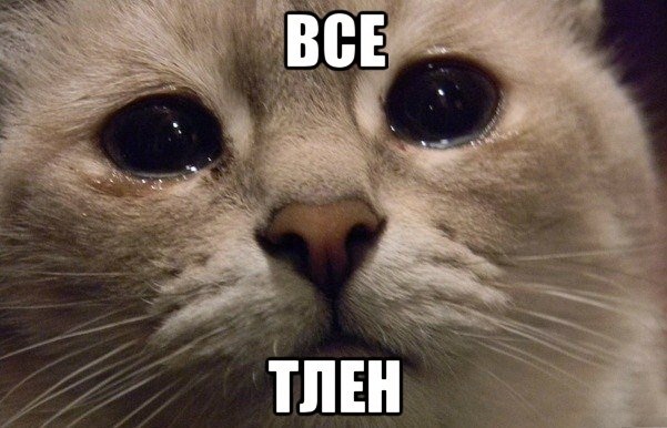 10 научных вопросов, на которые каждый