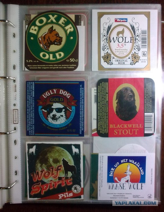 Моя коллекция пивных этикеток.