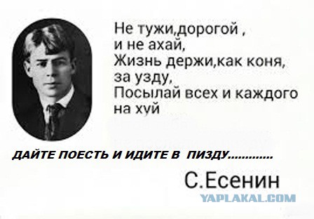 Да ну дайте уже поесть спокойно!