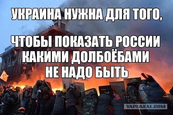 Сало уронили!