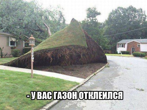 Немного картинок