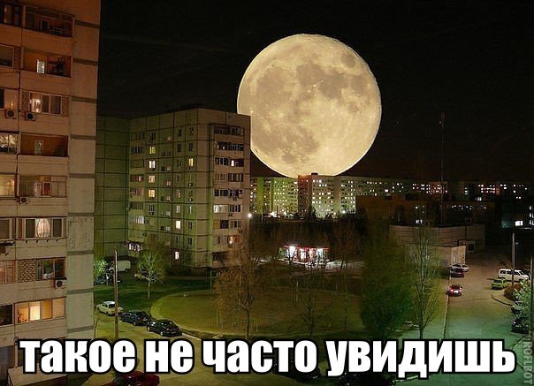 Всяко - разно...картинки