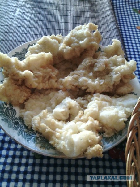 Кухня (кулинарное и околокулинарное общение)