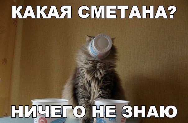 Мохнатые беспредельщики