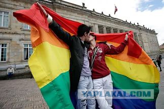 Всему виной был пачкорд