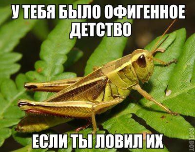Интересные и веселые картинки