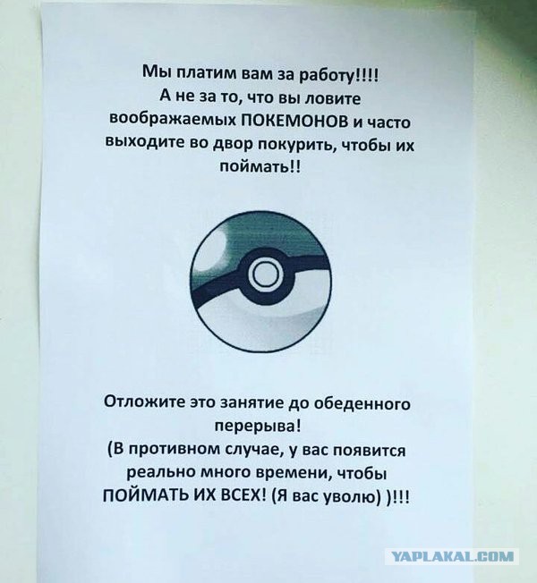 Крик души канадца: Ничего более тупого, чем охота за покемонами, я не видывал...