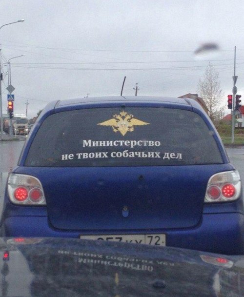 Несколько фоток