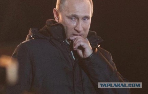 Один день либерала-антисталиниста и фэйсбучника