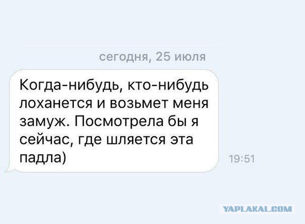 Много картинок