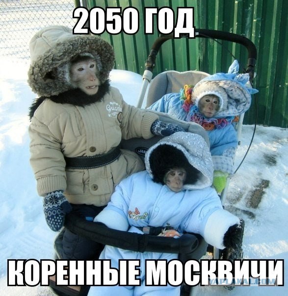 Задержание в Люблино: Дерзкие гости столицы