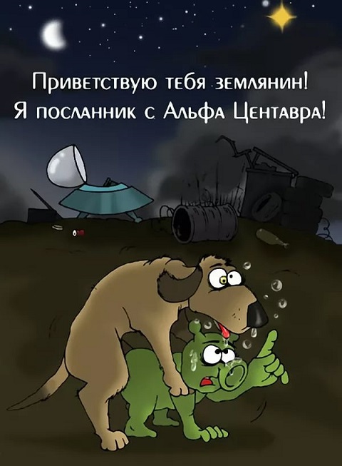 Поляна чёрного юмора и цинизма