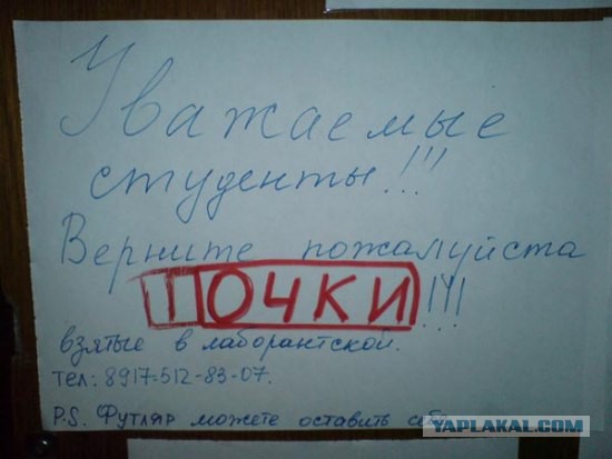 В Москве выдают кредит под залог почки
