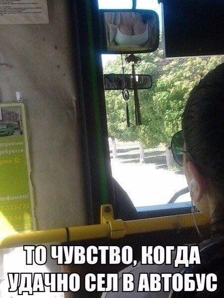 Подборка безудержного веселья