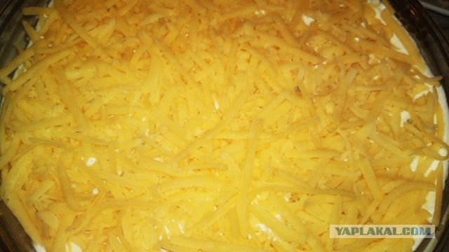 International одной книги., В память о Дженибеке.