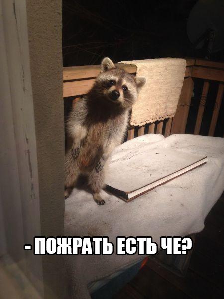 Немного деграданса - 8