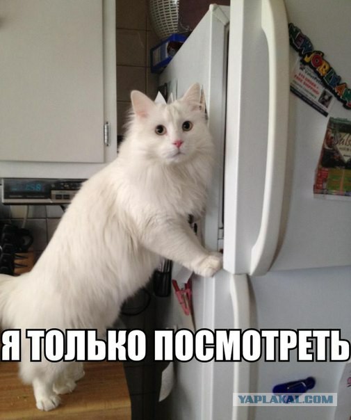 Подборка прикольных картинок на вторник