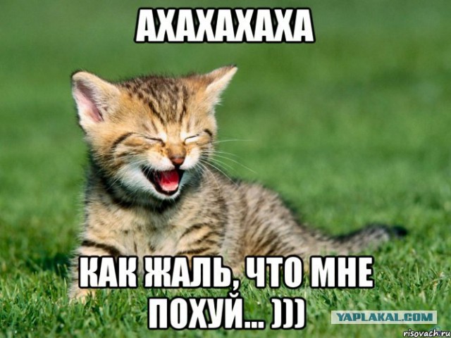 Сожгли автомашину Юлии Латыниной