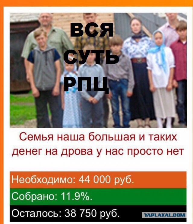 Яжематери осваивают собирательство