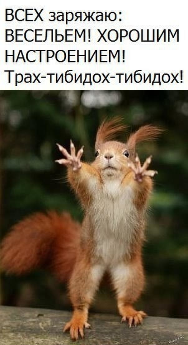 Сидите тут, развиваетесь... А деградировать кто будет?!