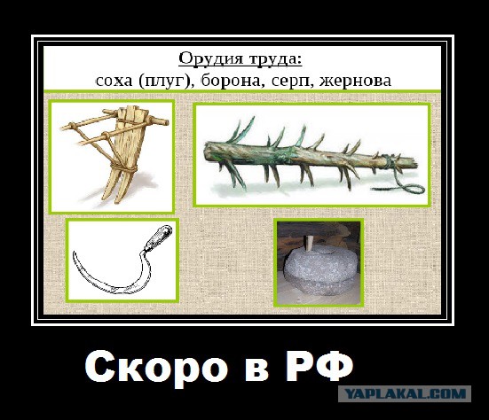 Ученые России призвали остановить «вредоносную деятельность» Роскомнадзора