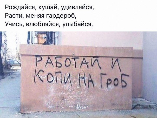 Смешные объявления, надписи и вывески