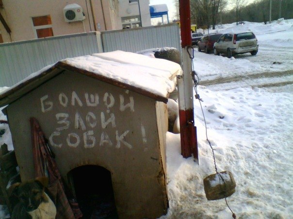 Смешные объявления, надписи и вывески