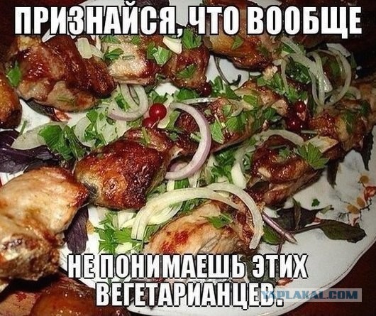 "Глистики требуют привычной еды". Темы на форумах веганов и сыроедов вгоняют в оторопь