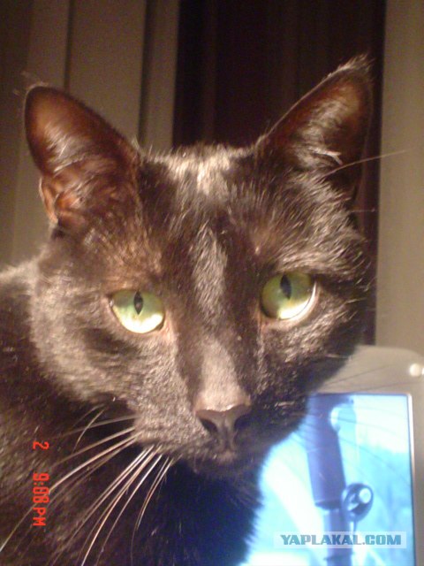 КОТовторник 13.04.2010г.