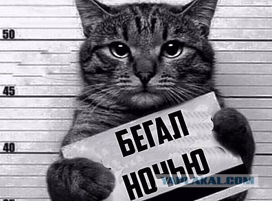 Криминальные лица микромира