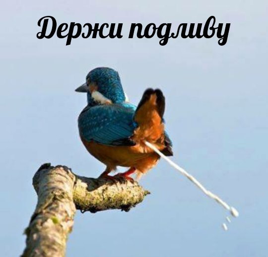 Нестандартный юмор
