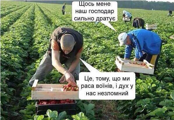 Какая умничка