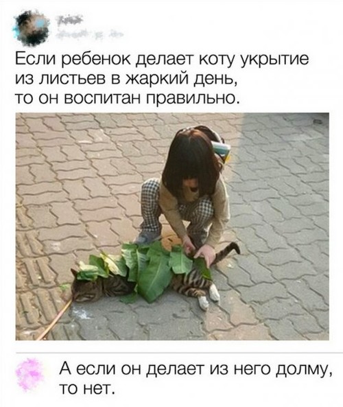 Немного картинок для настроения
