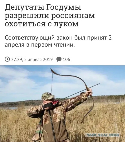 Собиравшая грибы в США эстонка получила повестку в суд, полицейские пообещали посадить ее добычу обратно