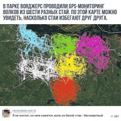 Кретинки