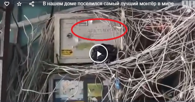 В нашем доме поселился самый лучший монтёр в мире