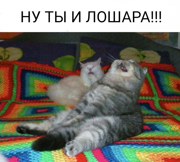 Pornhub ввёл бесплатный премиум для всех стран до 23 апреля!