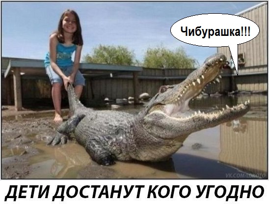 Так себе картинки 10