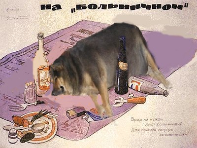 Фотожаба: О чем же думает собака?....