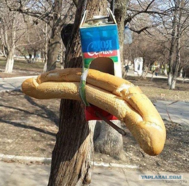 Россия изнутри